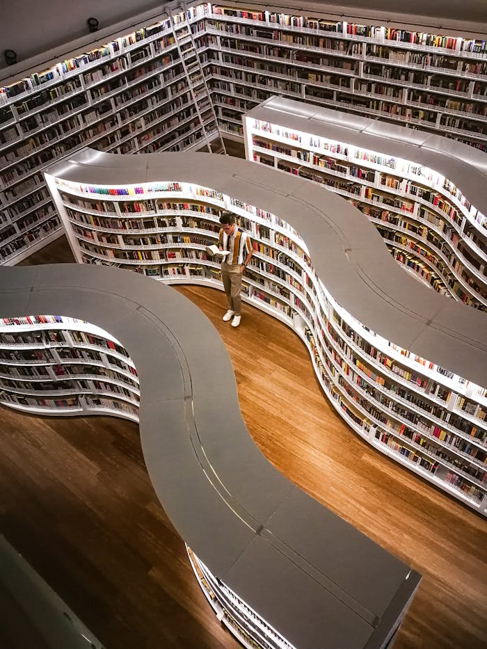 A modern library interior featuring unique curved bookshelves viewed from above, with a man reading.